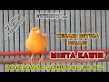 Download Lagu SUARA PANCINGAN KENARI BETINA BIRAHI MINTA KAWIN - 100% ampuh pancingan kenari macet bunyi
