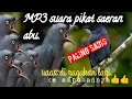 Download Lagu suara pikat Saeran abu andalan para suhu@jahid channel