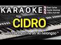 Download Lagu CIDRO Karaoke Nada Pria Rendah || Didi Kempot