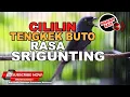 Download Lagu 🔴Srigunting Abu Abu Isian Mewah Cililin dan Tengkek Buto Tembakan Panjang Mewah❗️