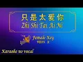 Download Lagu 只是太爱你 【卡拉OK (女)】《KTV KARAOKE》 - Zhi Shi Tai Ai Ni (Female)