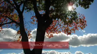 فيروز   فايق ياهوى دندنها