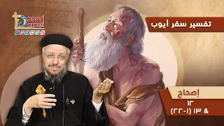 تفسير الكتاب المقدس سفر أيوب 10 سفر أيوب إصحاح 12 13 1 22 أبونا داود لمعي 