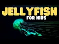 Jellyfish for Kids Learn about the graceful invertebrates