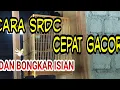 Download Lagu cara supaya srdc cepat gacor dan bongkar isian