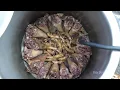ULTIMATE IRAN FOOD TOUR in TEHRAN, IRAN 🇮🇷 Kaleh Pache