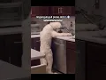 Download Lagu Lingang  guli guacha #memes #shortsfeed #shortvideo #comedy #absurdmeme #shortsvideo #funny #mewing
