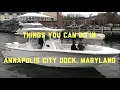 THINGS YOU CAN DO IN ANNAPOLIS CITY DOCK MARYLAND