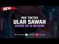 Download Lagu Mix TikTod - Ular Sawah ( Speed Up \u0026 Reverb ) 🎧