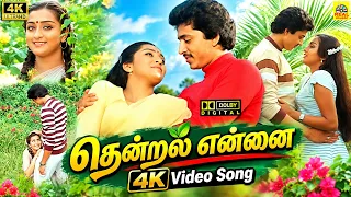 Thendral Ennai 4K Video Song | Krishnachandran B. S. Sasirekhaoru Hits | Raghuvaran Sumalatha