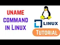 uname command in Linux with examples How to Use Linux uname Command