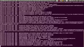 Remote debugging WSO2 products using intellij