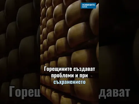 Криза с пармезана в Италия: Как екстремните жеги застрашават 800-годишна традиция