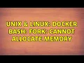 Unix Linux Docker bash fork Cannot allocate memory 2 Solutions