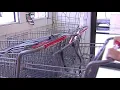 IGA stores close in McLean Co