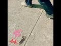 SAN FRANCISCO SIDEWALK - Tiffany Day