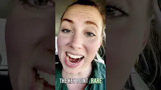 Do Opossums Carry Rabies