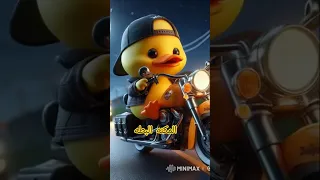  المكنه البطه مهرجان         اكسبلور             دندنها