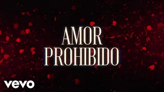 Grupo Bryndis - Amor Prohibido (LETRA)