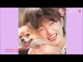 山口百恵 - さよならの向こう側