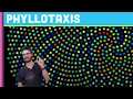 Coding Challenge Phyllotaxis