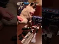 My Favorite New Cat Mat Remover - Oneisall Clippers