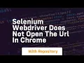 selenium webdriver does not open the url in chrome