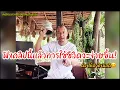 Download Lagu ฟังคลิปนี้แล้วการใช้ชีวิตจะง่ายขึ้น ต้องให้ด่าถึงมีสติ😊❤️