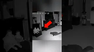 لقطات مرعبة صورتها عدسات الكاميرات بالصدفة لم يجدوا لها تفسير 