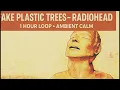 Download Lagu Fake Plastic Trees   Radiohead 1 hour nonstop