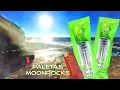 INFUSED APPLE GELATO INFUSED BLUNT