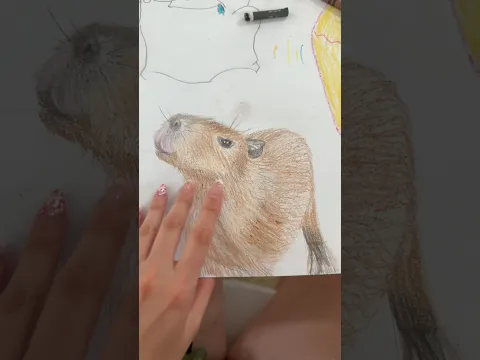 Drawing my capybara
