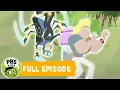 Wild Kratts FULL EPISODE Secrets of the Spider s Web PBS KIDS