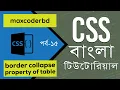 CSS Tutorial For Beginners In Bangla Part 15 Border Collapse Property Of Table