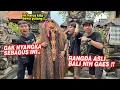 Download Lagu Nyobain Rangda dari Bali !! LANGSUNG CINTA PADA PANDANGAN PERTAMA