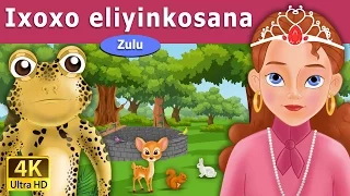 ixoxo eliyinkosana frog prince in zulu 4k uhd zulu fairy tales
