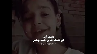 كان يا مكان احلم بضفاير قلبي و بس 