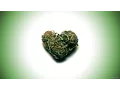 Download Lagu Dj inappropiate - smoke weed everyday remix (official video)