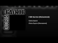 I Will Survive (Rerecorded)