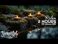 Relax Meditation Music Spa Music with Water Birds Nature Sounds