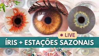 Os padrões da íris e as paletas de cores!