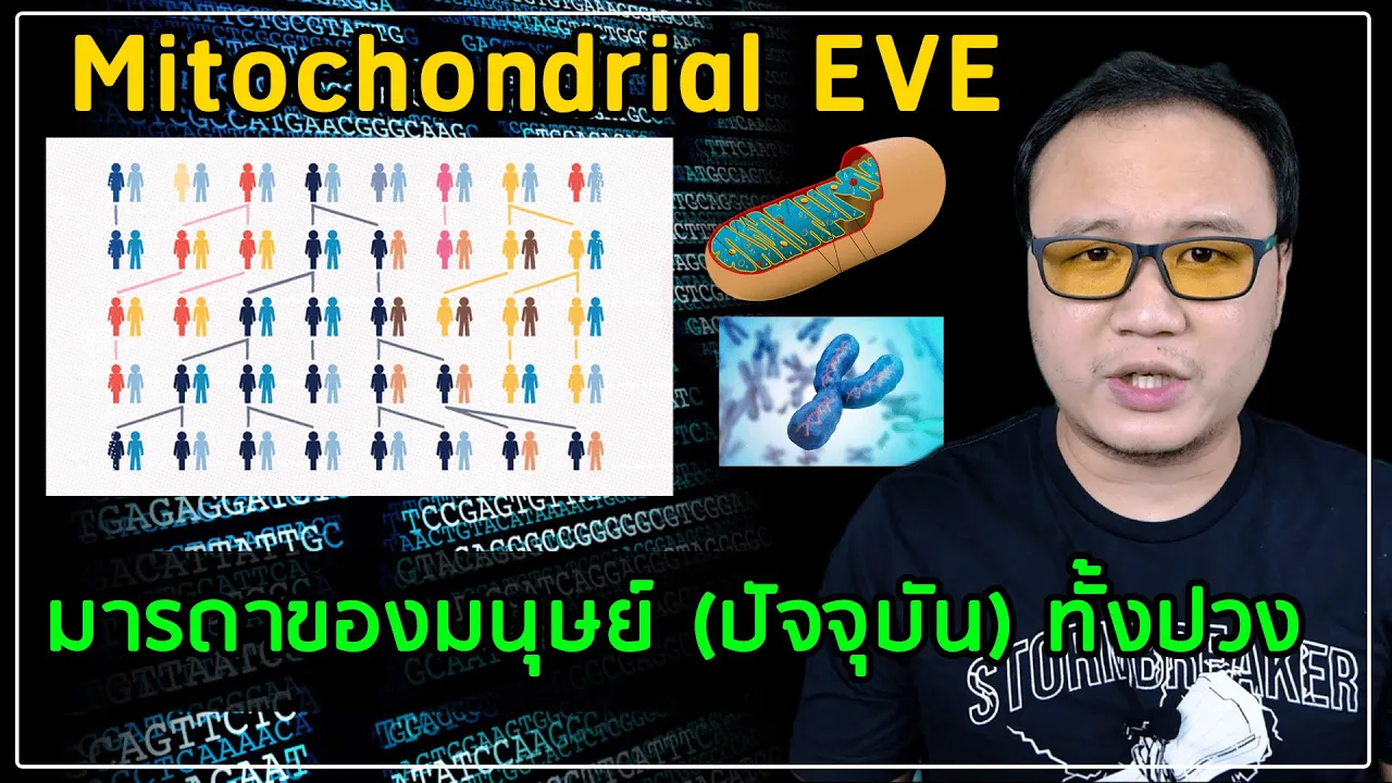 Genome EP03 : มารดาของมนุษย์ทั้งหมด ความจริงแล้วเราเป็นญาติกัน