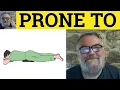 Prone To Meaning - Prone To Examples