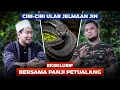 Lagu CIRI-CIRI ULAR JELMAAN JIN - EKSKLUSIF BERSAMA PANJI PETUALANG