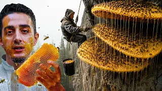 Nepal's Mad Honey That Causes Hallucinations (They climb to go insane)