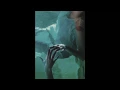Nobody Loves Me Like You Do by Low Roar
