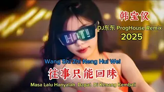  dj proghouse remix 2025 wang shi zhi neng hui wei 2025