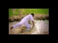 Download Lagu Deep Dhillon \u0026 Jaismeen Jassi - Pani di wari (Official Video) Album  {PG (The Paying Guest)} 2016