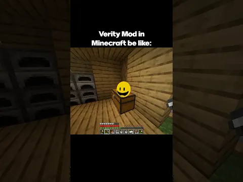 Verity Mod in Minecraft be like: