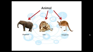Polymorphism Part 1